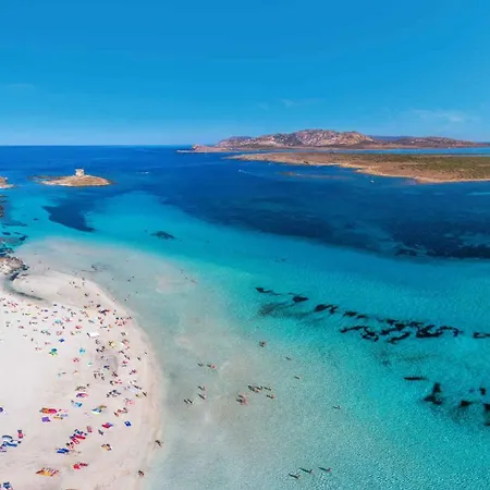 Appartement House And Apt. In 30366 *